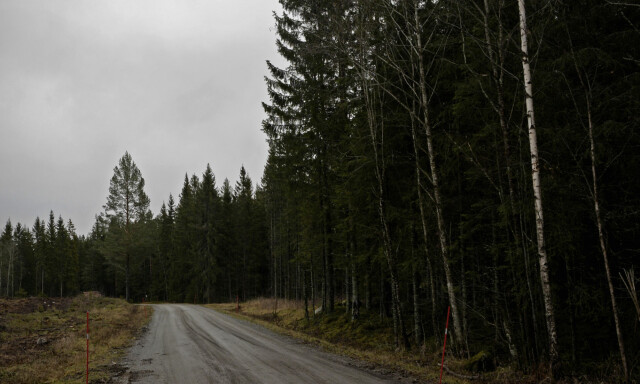 Pistol-forklaringene: «Det vi kaller et leiemordervåpen»